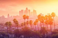 Los Angeles Private Airport Transfer thumbnail 3