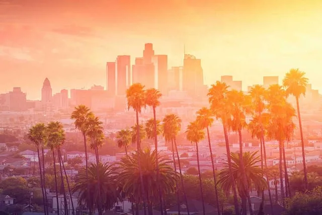 Los Angeles Private Airport Transfer - Image 3