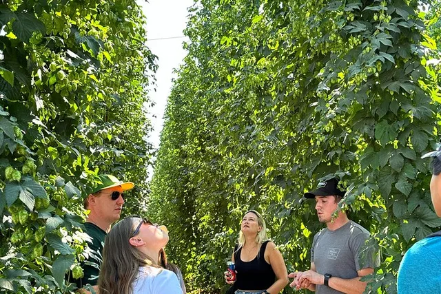 Yakima Valley Hop Farm & Beer Tour - Image 4