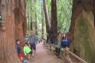 San Francisco Cheese Trail, Wine Country & Redwoods Tour thumbnail 6