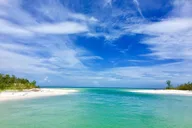 Marco Island Dolphin and Shelling Cruise 2.5 hr thumbnail 1