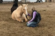 Oregon Horse Meditation Experience 1.5 hr thumbnail 1