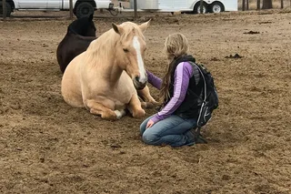 Oregon Horse Meditation Experience 1.5 hr