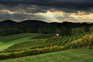Atlanta Wine Country Tour thumbnail 1