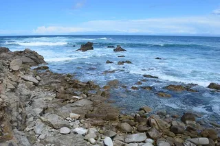 San Francisco Monterey Peninsula and Carmel Tour