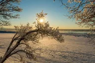 Anchorage Sunset Photo Safari thumbnail 3