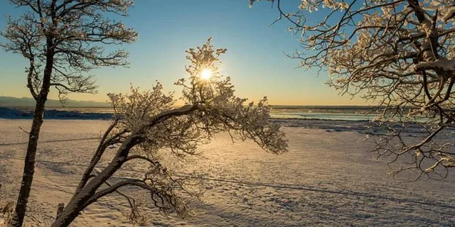 Anchorage Sunset Photo Safari - Image 3