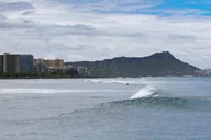 Waikiki Heritage and Diamond Head Wildlife Sail thumbnail 4
