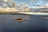 Maui Circle Island Air Tour for 2-5 thumbnail 4