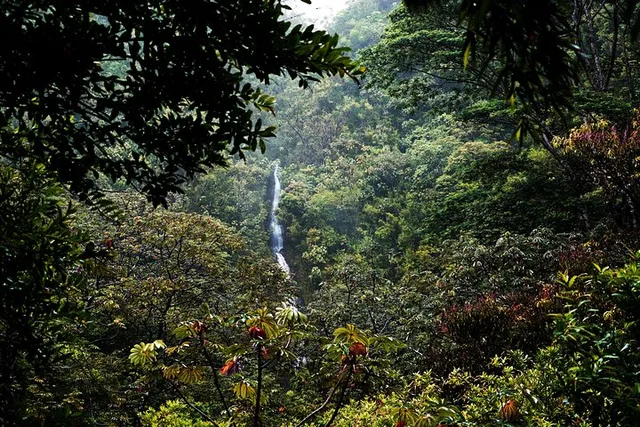 Honolulu Manoa Waterfall Hike with Lunch 5 hr - Image 1