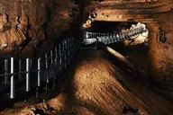 Nashville Kentucky Caves and Kangaroos Day Tour thumbnail 3