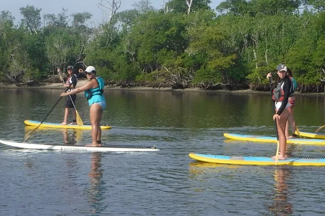 Naples Paddle Board Rental Full-Day - Image 4