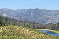 Napa Valley-Sonoma Private Wine Tour thumbnail 6