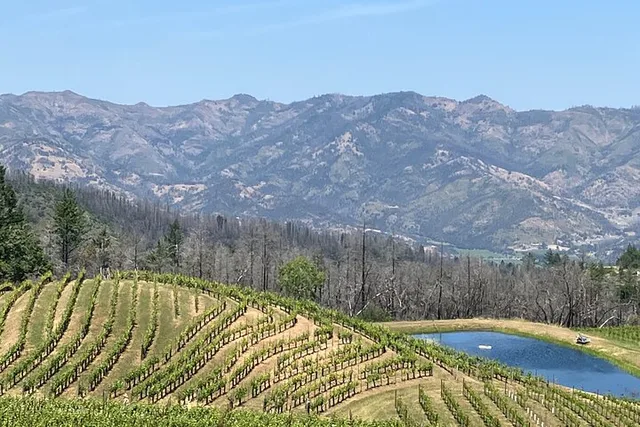 Napa Valley-Sonoma Private Wine Tour - Image 6