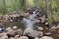 Aspen Guided Hike with Roaring Fork River Views 2 hr thumbnail 5