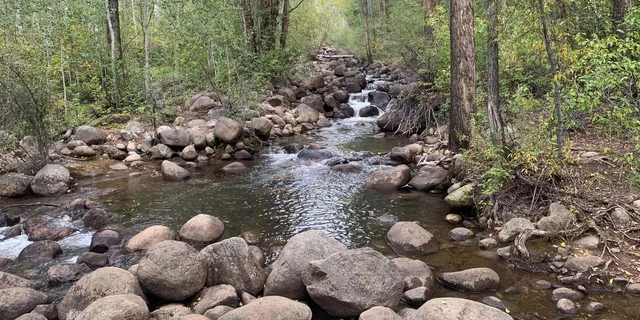 Aspen Guided Hike with Roaring Fork River Views 2 hr - Image 5