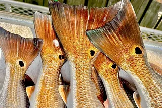 South Padre Bay Fishing Trip