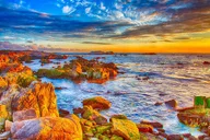 Monterey 17-Mile Drive Self-Guided Audio Tour thumbnail 4