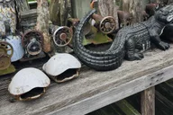 Miami Everglades Eco Airboat Tour 4.5 hr thumbnail 6