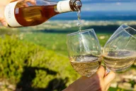 San Francisco Alcatraz Tour, Muir Woods & Wine Tasting thumbnail 3