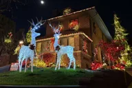 New York City Christmas Lights Bus Tour thumbnail 2