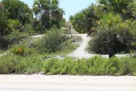Indian River Shores Dolphin and Wildlife Kayak Tour 90 min thumbnail 3