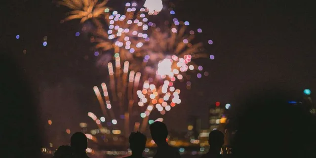 Chicago Seadog Fireworks Speedboat Cruise - Image 4