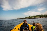 Portland RIB Boat Adventure thumbnail 4