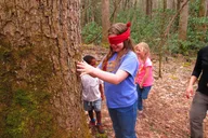 Gatlinburg Nature Exploration Tour thumbnail 3