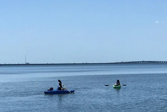 Tampa Stand Up Paddle Board Rental - Image 3