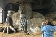 Seattle City Tour with Private Guide 4 hr thumbnail 3