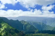 East Maui Rainforest and Road to Hana Tour thumbnail 5