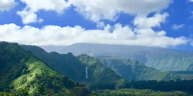 East Maui Rainforest and Road to Hana Tour - Image 5