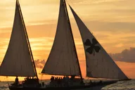 Key West Schooner Appledore Star Sunset Sail thumbnail 3