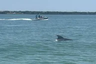 Indian Rocks Beach Jet Ski Adventure thumbnail 1