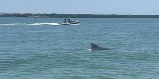 Indian Rocks Beach Jet Ski Adventure