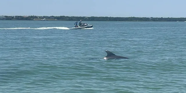 Indian Rocks Beach Jet Ski Adventure - Image 1