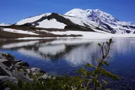Mount Rainier Day Hike on Three Burroughs Trail thumbnail 4
