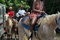 Miami Horseback Riding in South Beach 1 hr thumbnail 2