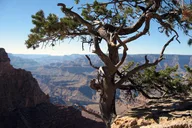 Sedona Grand Canyon Tour with Ruins and Lava Fields thumbnail 4
