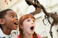 Washington DC Smithsonian Natural History Private Tour thumbnail 2