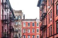 New York City Dog Lovers Walking Tour thumbnail 4