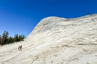 Yosemite Private Tour for Families