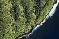 Maui Rainforest & Waterfall Experience thumbnail 4