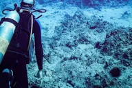 Kailua-Kona Scuba Diving Adventure 4 hr thumbnail 2