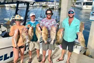 Naples Deep Sea Fishing 6 Hour thumbnail 2
