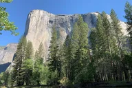 Yosemite Private Tour Two-Day Exploration thumbnail 3