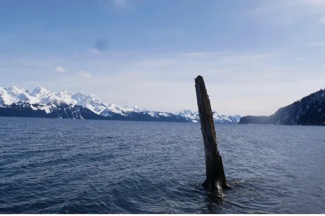 Seward Tonsina Beach Hike - Image 2