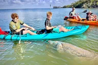 Daytona Beach Kayak Tour with Dolphins and Manatees thumbnail 2