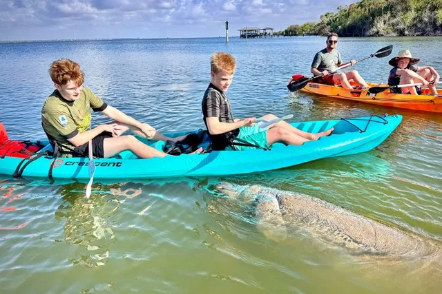 Daytona Beach Kayak Tour with Dolphins and Manatees - Image 2